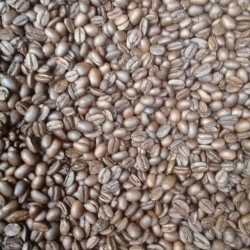 Café Tulan tostado y molido de la variedad Catimor, cultivado a 1600 msnm, ofrece un cuerpo equilibrado y aromático.
