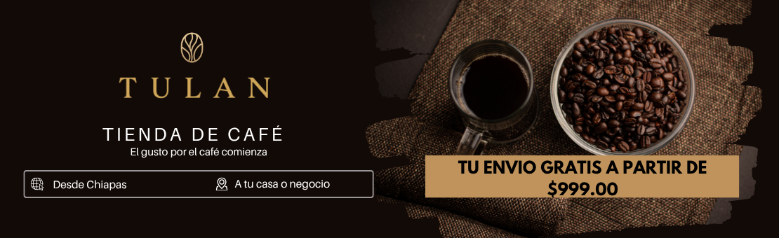 Envío gratis a partir de $999.00